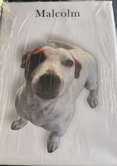 Customer photo review of Custom Pet Portrait (1, 2 or 3 Pets)