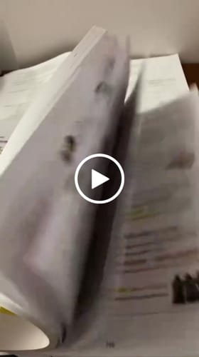 Recenzie cu videoclip de la un client despre Pachet Bacalaureat (Română + Istorie + Geografie) Bacademia