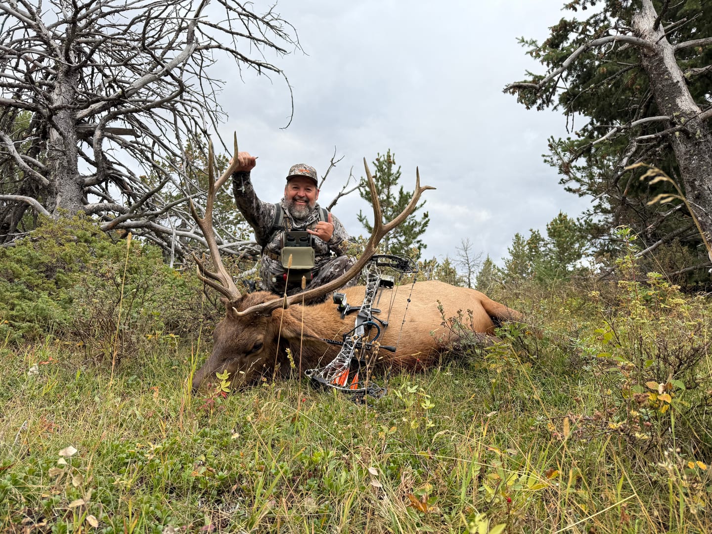 Customer photo review of Titanium Broadheads