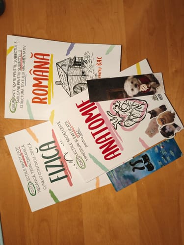 Recenzie cu fotografie de la un client despre Audiobook – Eseuri Audio BAC Română (temă și viziune, caracterizare, relație) + Quiz-uri