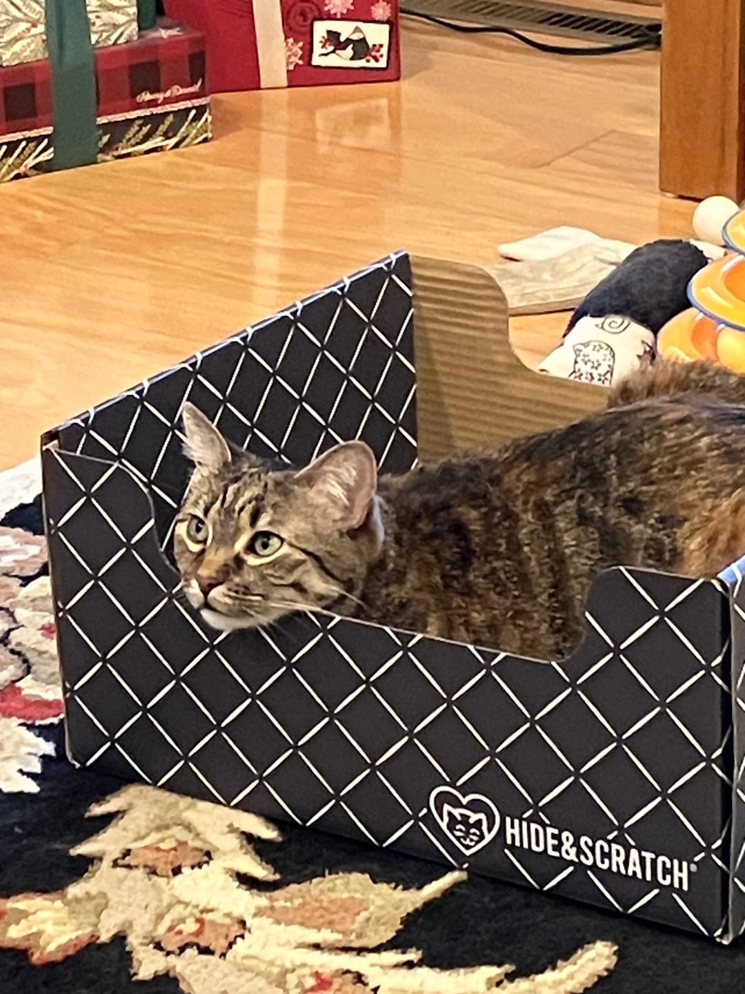 Customer photo review of Hide & Scratch Extra-Large Cat Scratcher Box