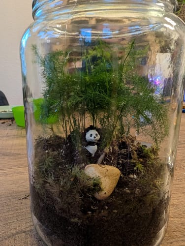 Customer photo review of Flaschengarten-Kindergeburtstags-Set