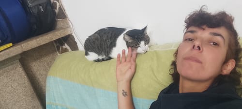 Customer photo review of Cat Sterilized