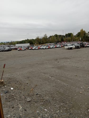 Customer photo review of The Ultra Methylene Red - Sour Strawberry