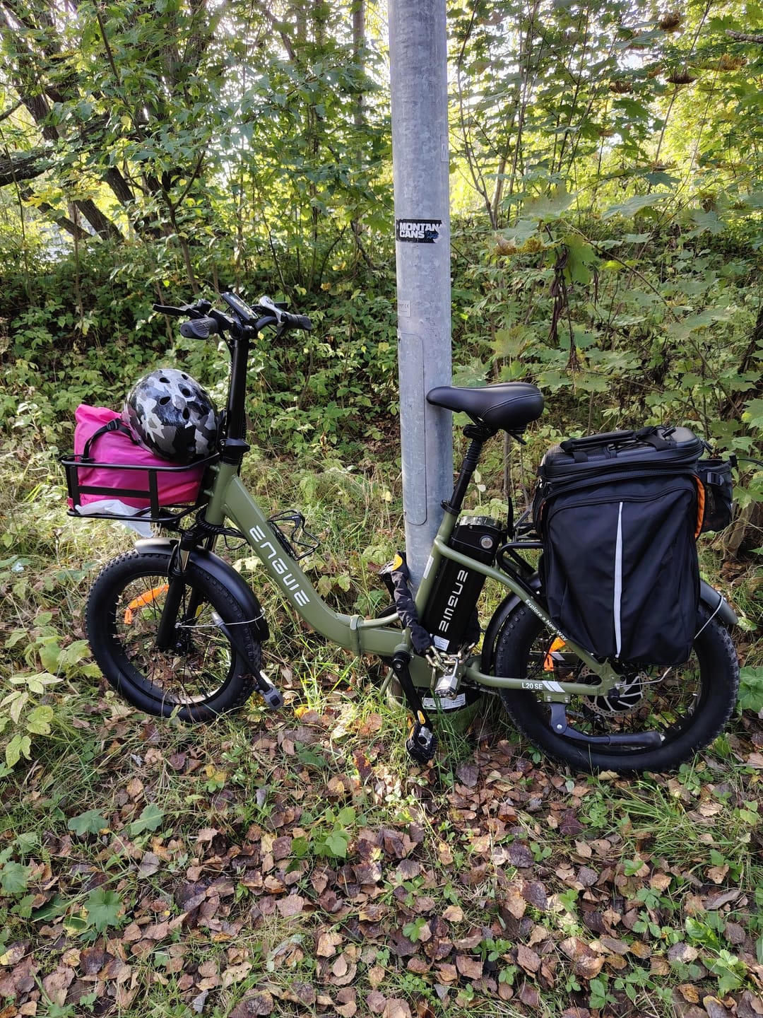 Customer photo review of Engwe L20 SE 250W 20" Foldable Electric Bike 561Wh Trekking Bike Step-through E-bike 36V 15.6Ah Battery [Pre-Order]
