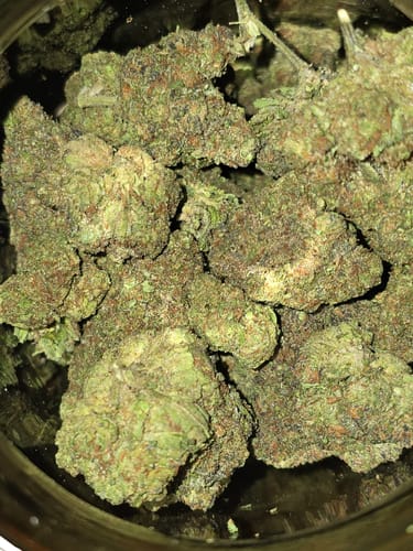 Customer photo review of Ice Cream Cake - Bulk - Indica