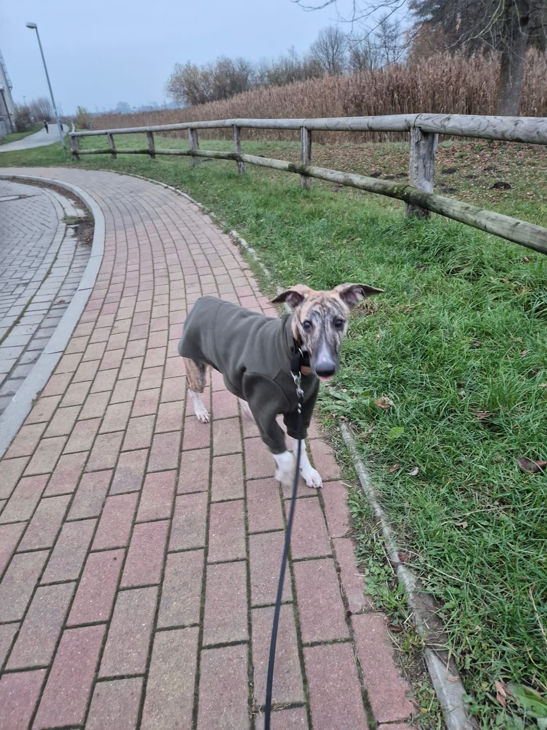 Customer photo review of Aspen "Mountain Green"