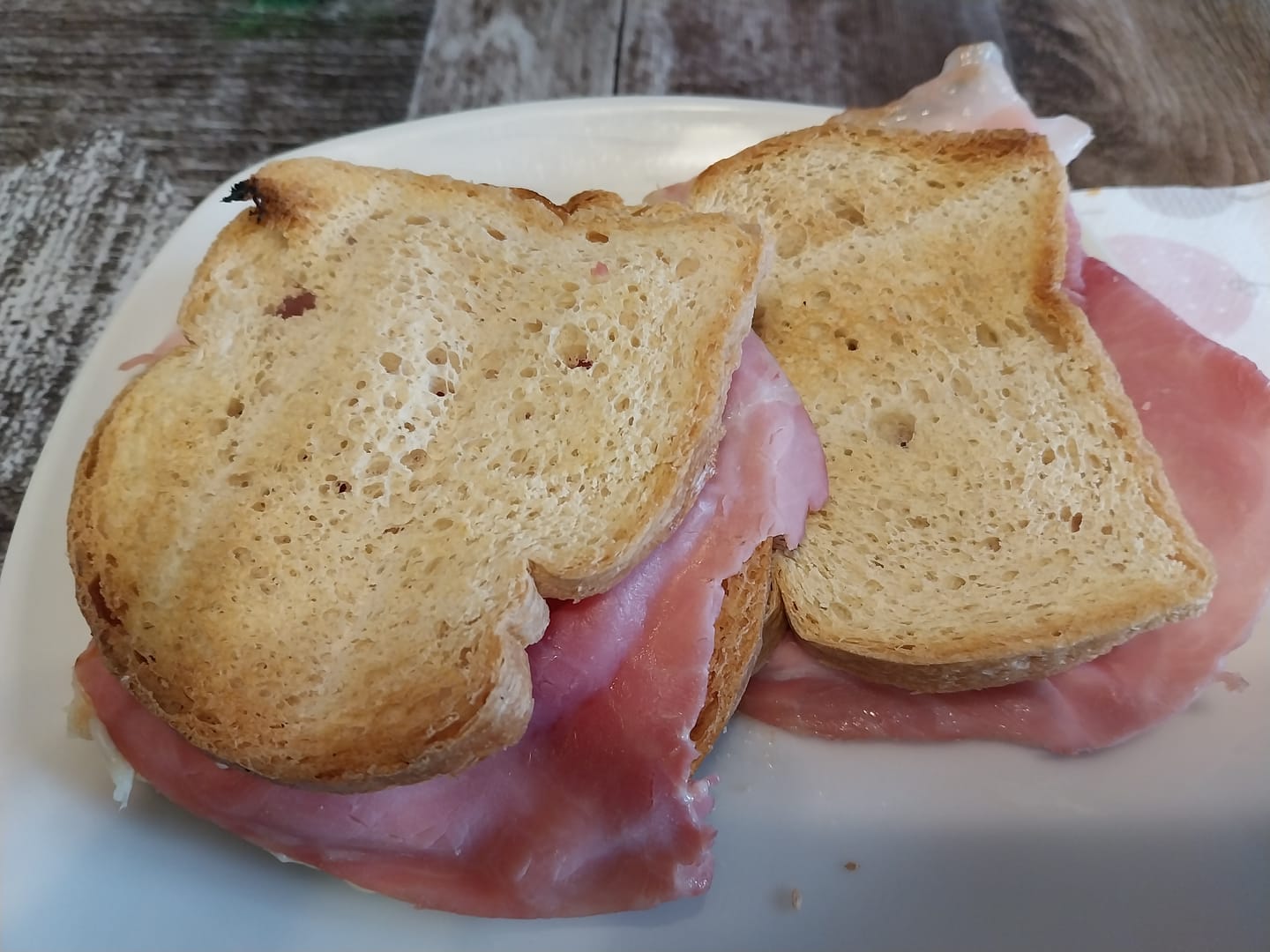 Customer photo review of Pan Bauletto Low Carb Extreme