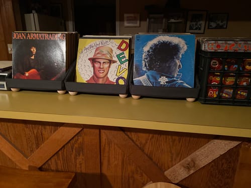 Customer photo review of Record Roots Tabletop Storage System