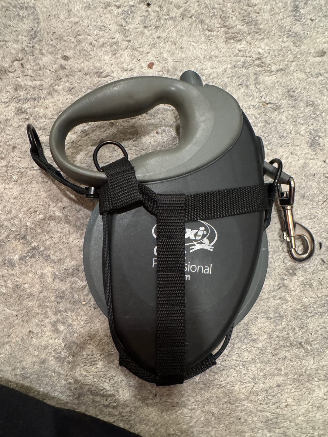 Customer photo review of Halfter ONE  |  Für alle flexi