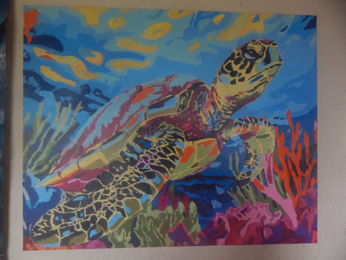 Customer photo review of Coral Reef Turtle