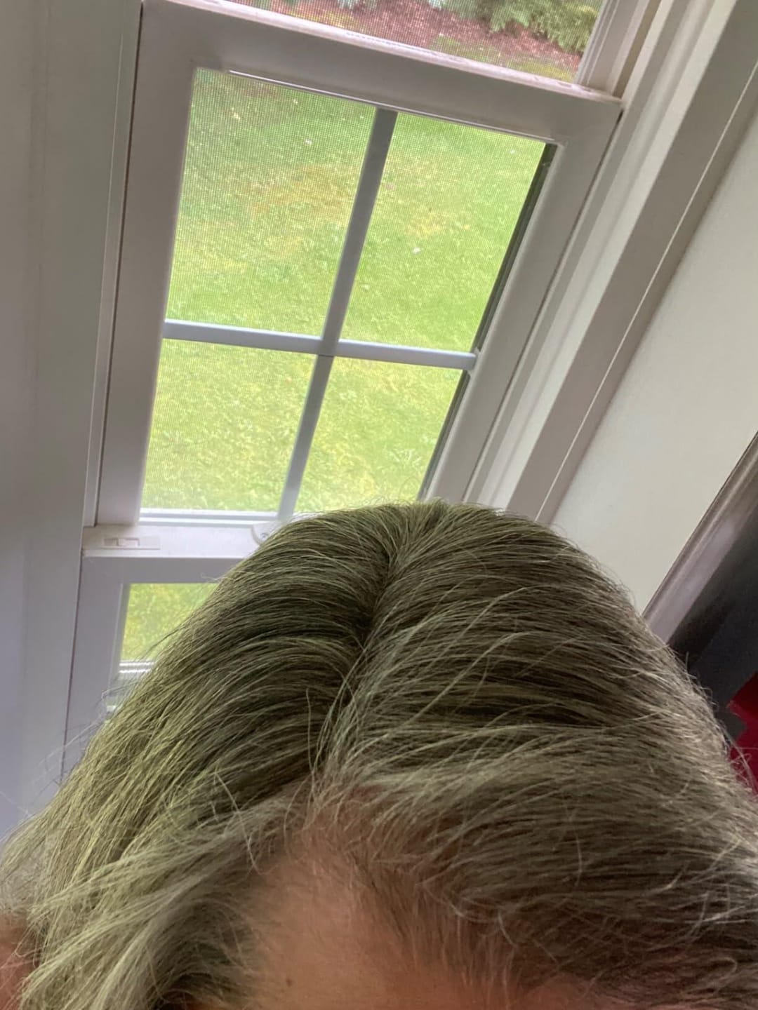 Customer photo review of Susan ︳Human Hair Topper For Women Thinning Crown 10*12cm Silk Base Mixed Grey