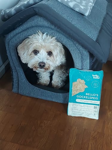 Customer photo review of Frischfutter für Energiebedarf von 326 kCal/Tag