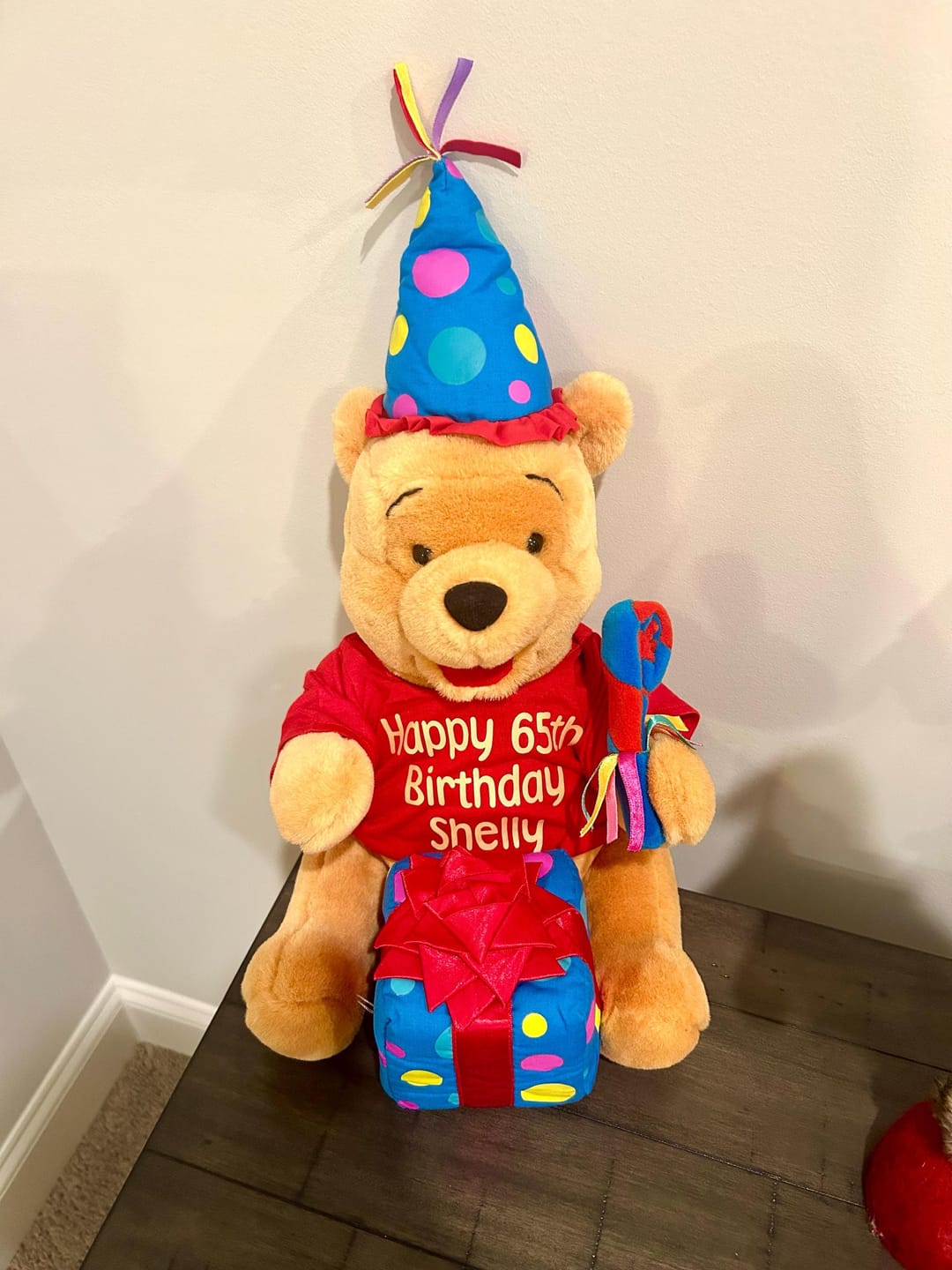 Customer photo review of Custom Plushie T-Shirt — Fits 14–16-inch Plushies