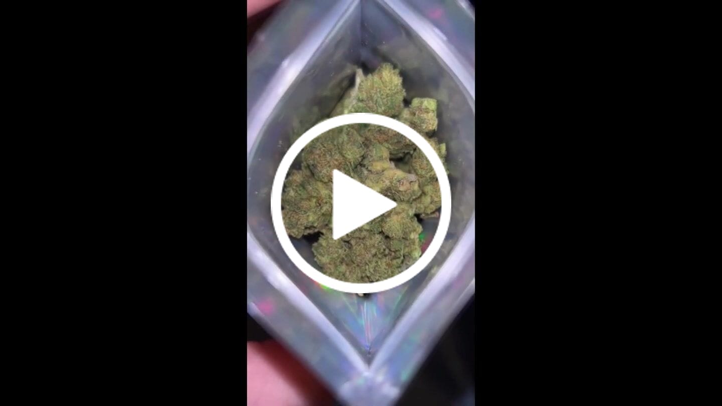 Customer video review of Exotic THCa Shake