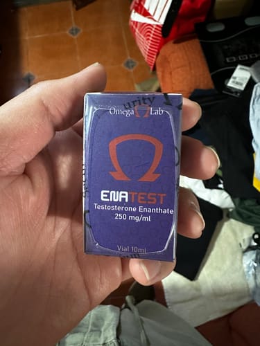 Customer photo review of Testosterona Enantato Omega Labs 250 mg