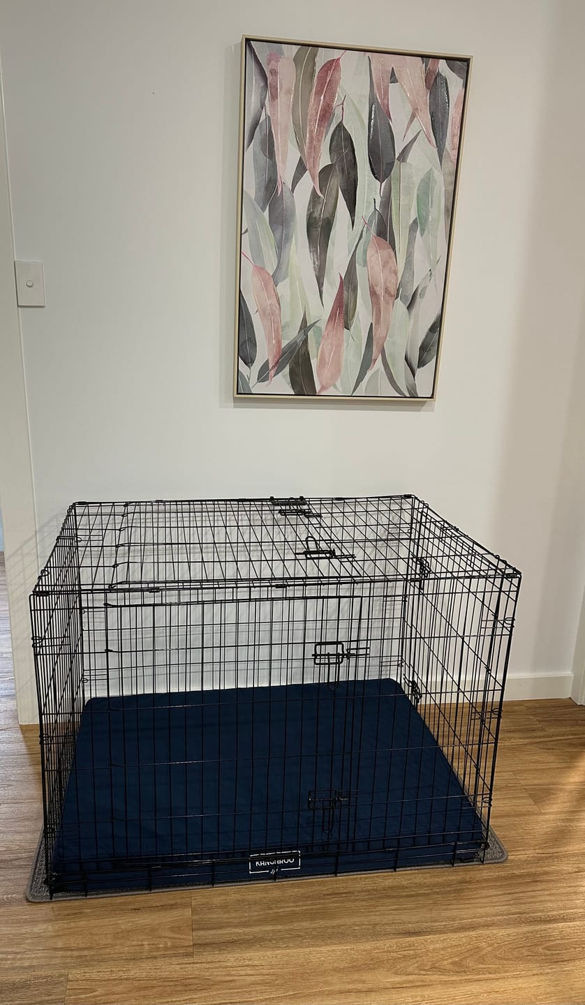 Customer photo review of Kangaroo Dog Crate Mat