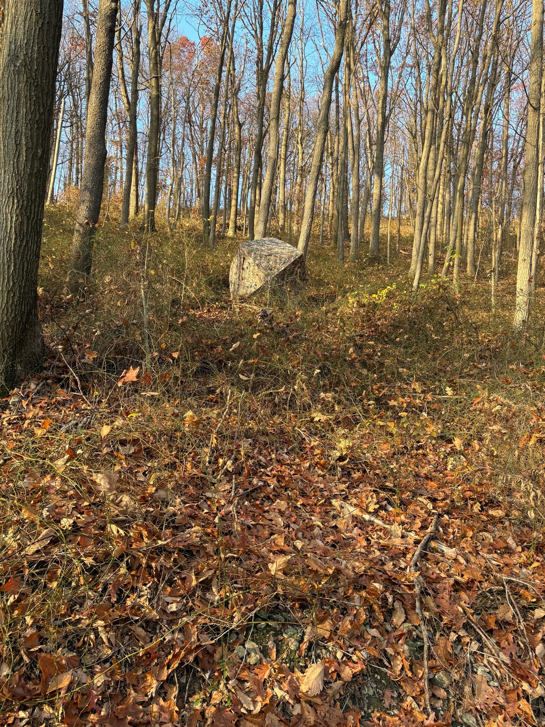 Customer photo review of Tidewe Vis360 See-Through Ground Blind for Deer/ Turkey Hunting (3-4 Person)