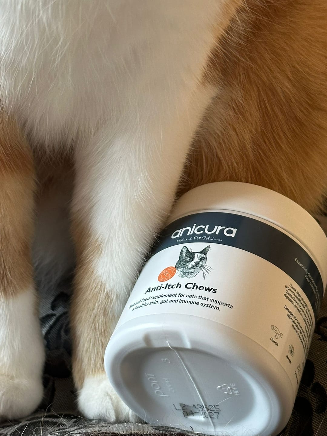 Customer photo review of Anti-Itch Cat Chews