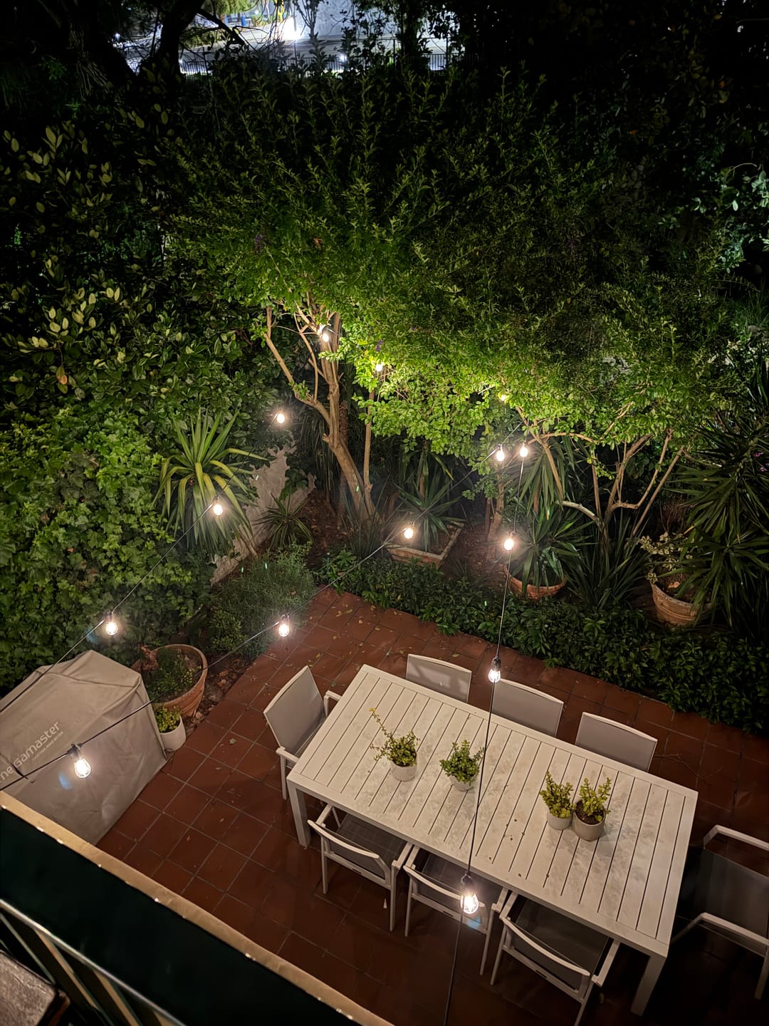 Customer photo review of Solar Festoon Bulb String Lights