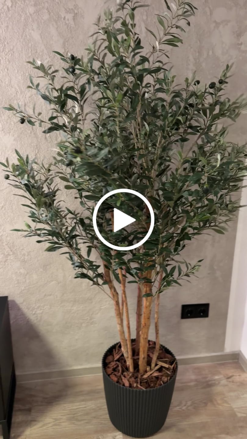 Customer video review of Künstlicher Olivenbaum 180cm