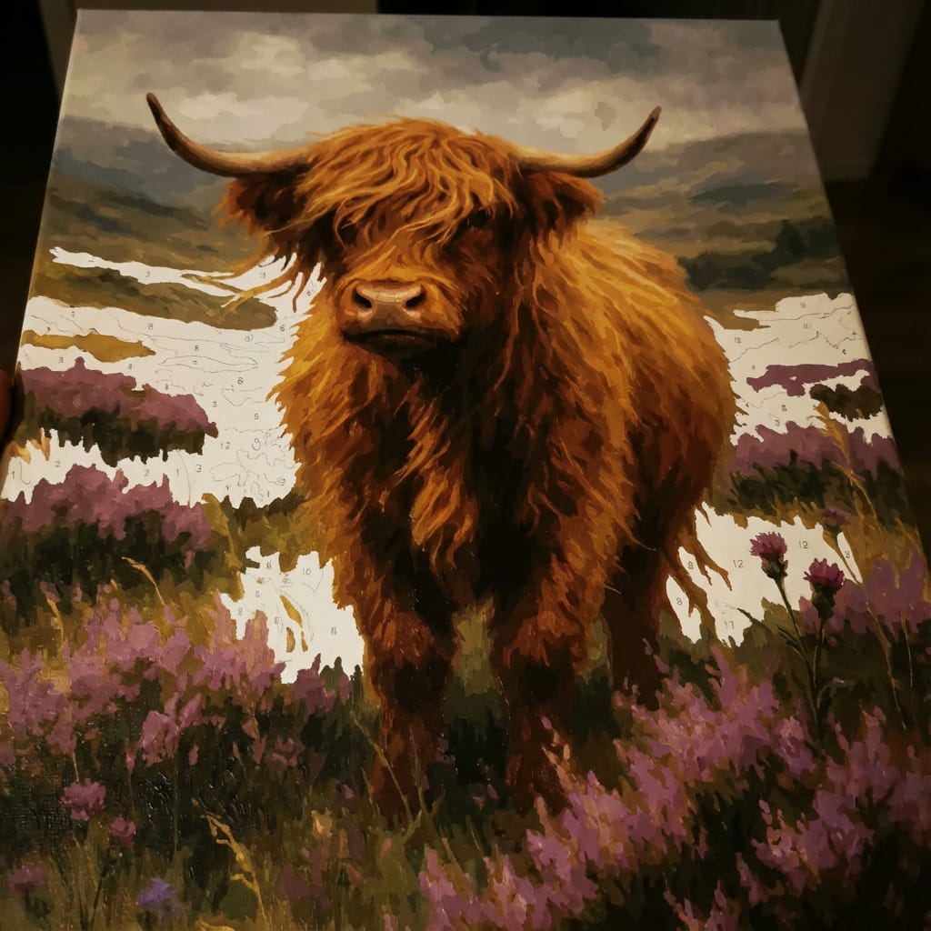 Customer photo review of Highland Cow in Mist