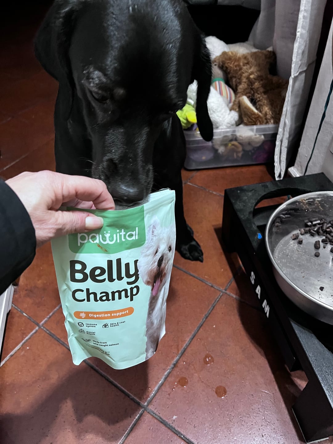 Customer photo review of Belly Champ