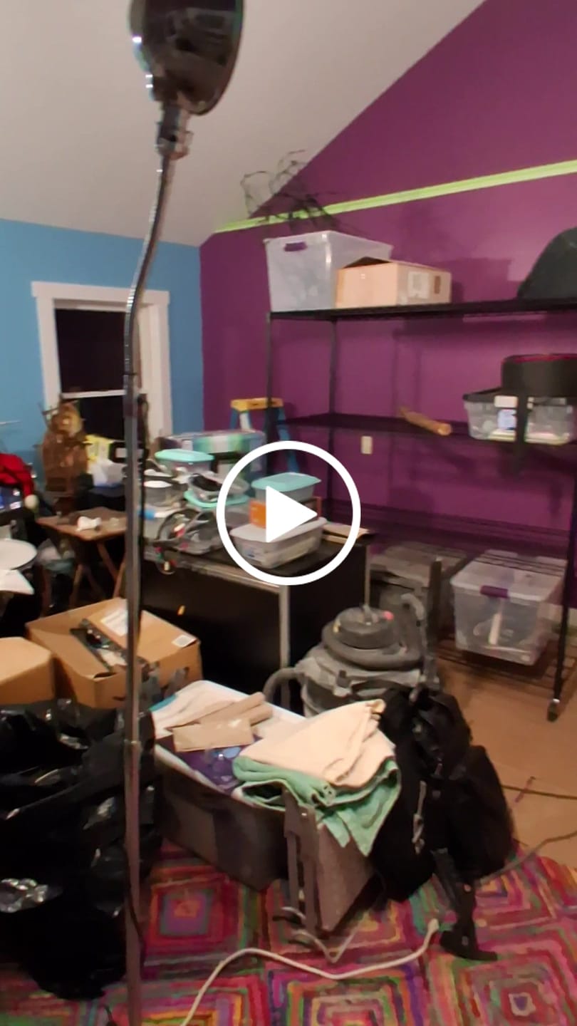 Customer video review of Reibii 60" W x 24" D Wire Storage Shelves, Rolling heavy duty shelves, Adjustable Metal Shelves Load 2878 lbs,Storage Shelves for Garage Closet Pantry Basement