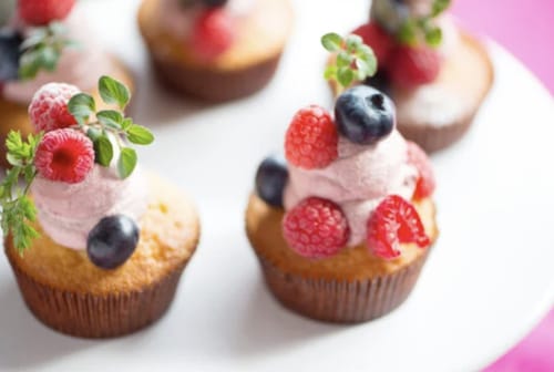 Customer photo review of *NEW for 2025* PrimeWhip PRO MAX 3.3L N2O Cannister