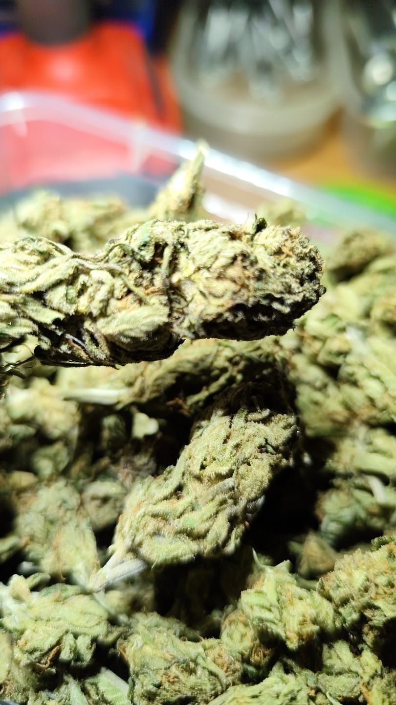 Customer photo review of Lemon Haze Extra Strong 60% - CBD Blüten - Indoor - Cannabis ohne Rezept