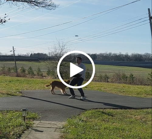 Customer video review of Strongman Sandbag V3