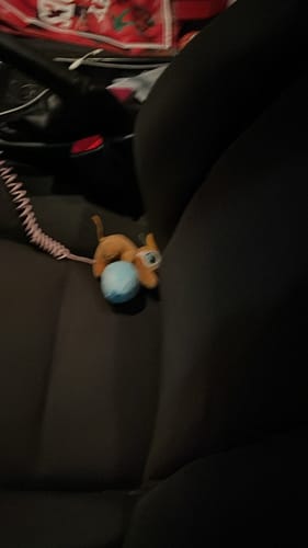 Customer photo review of Snoo Plush Keychain
