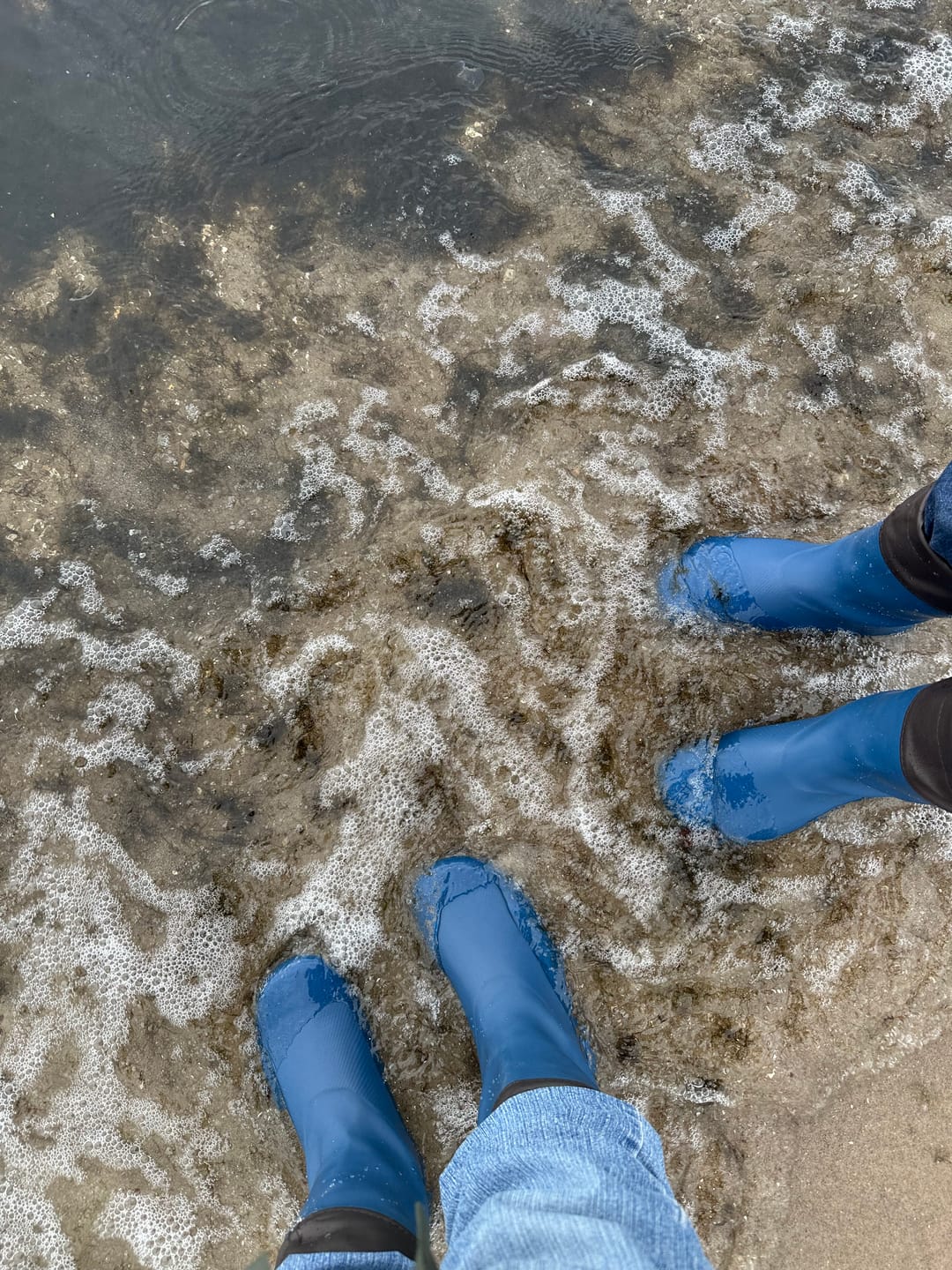 Customer photo review of Brisk Ⅰ - Barfuß-Gummistiefel