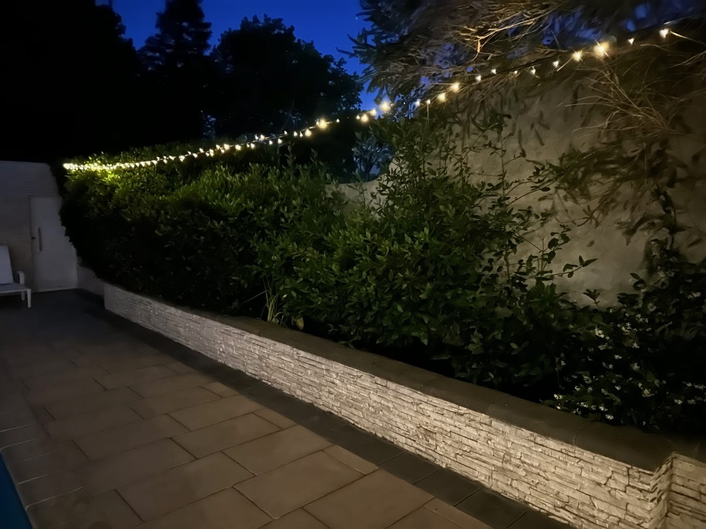 Customer photo review of Black String Solar Fairy Lights