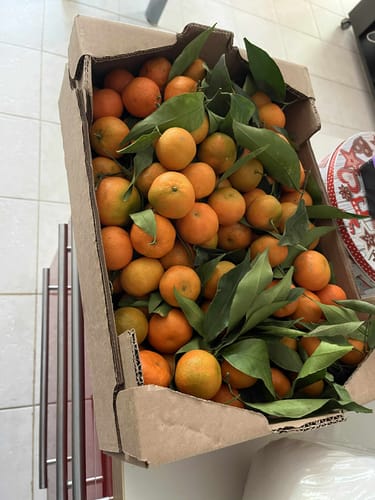 Magali C. review of Clémentines Bio - Origine Corse image 1 out of 1