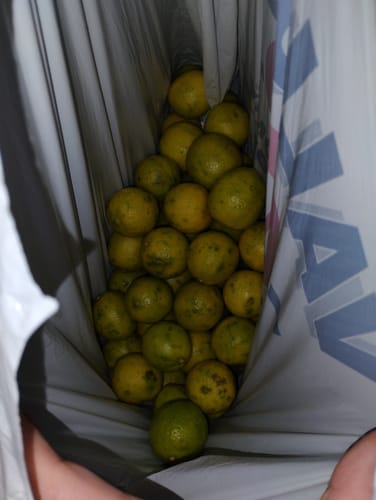 Customer photo review of Organic Key Limes 5 lbs