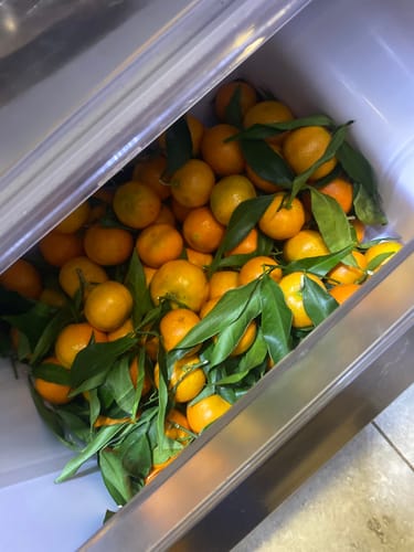 Philippe B. review of Clémentines Bio - Origine Corse image 1 out of 1