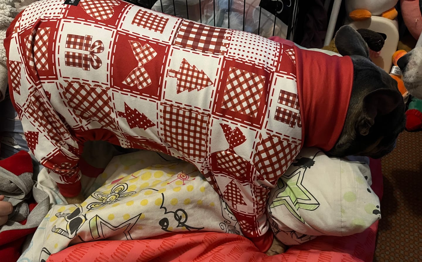 Customer photo review of Dog Christmas Pajama - Festive Patchwork