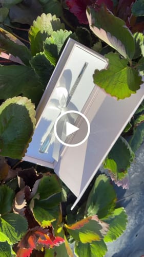 Customer video review of Pusher professional Grit