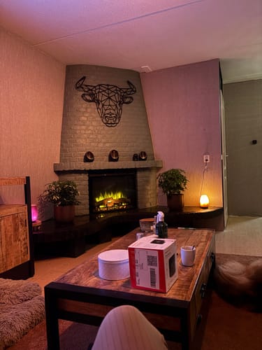 Diana P. review of Dimplex Elektrische Inzethaard Firebox XHD28 - 70cm image 1 out of 2