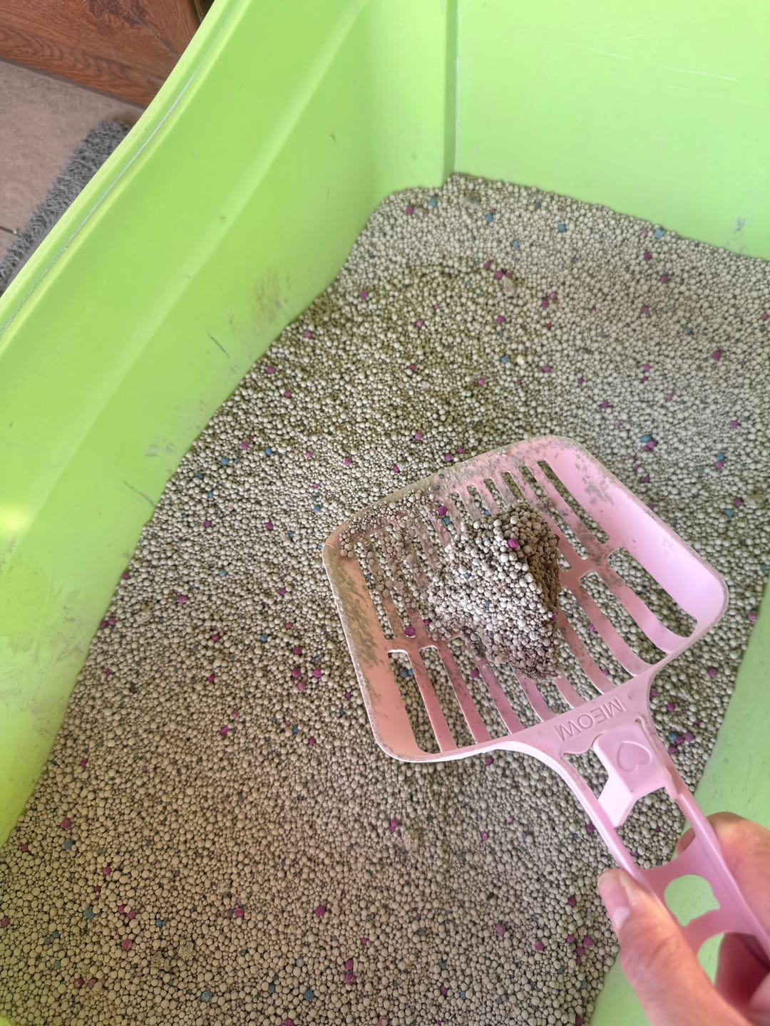 Customer photo review of Arena Minino 16kg - Carbón Activado [Nueva]