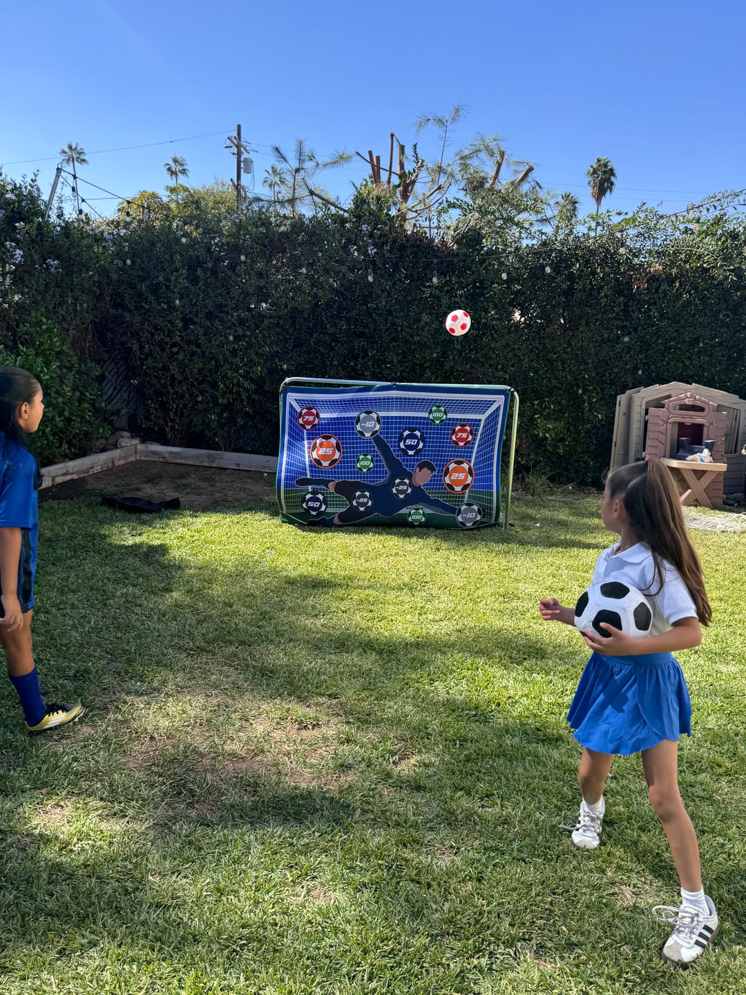 Customer photo review of StickySoccer™