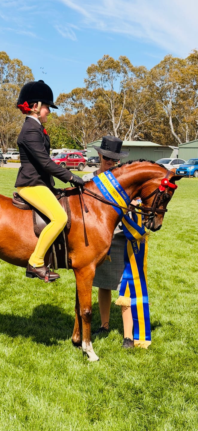 Customer photo review of Thames Children's London Show Tights - Buttercup