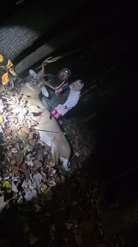 Customer photo review of Titanium Broadheads