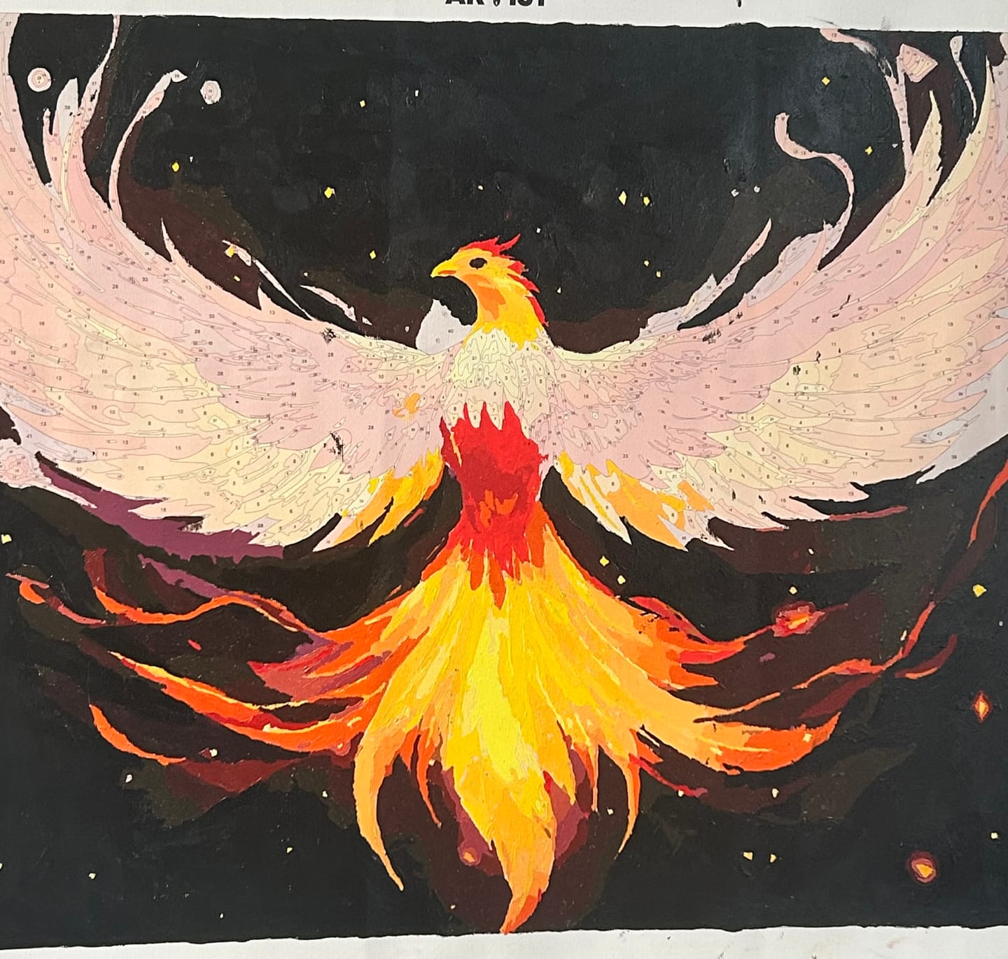 Customer photo review of Phoenix's Rise