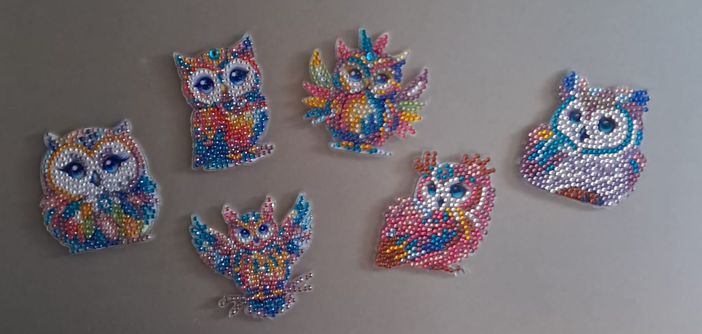 Customer photo review of Diamond Painting Magnete – Set mit 6 Eulen