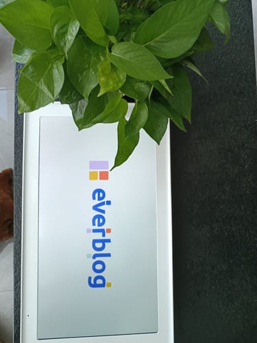 digital family calendar