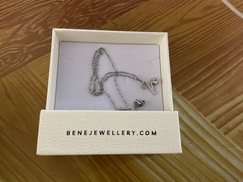 Customer photo review of Zodiac Necklace