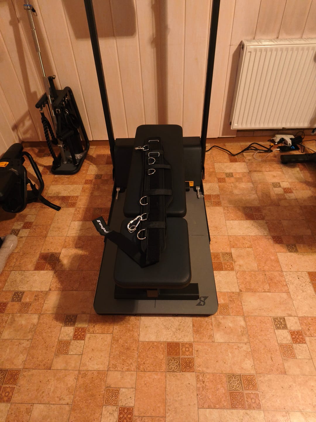 Customer photo review of Squat Belt