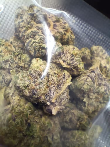 Customer photo review of Rainbow Pushpop THCA Flower